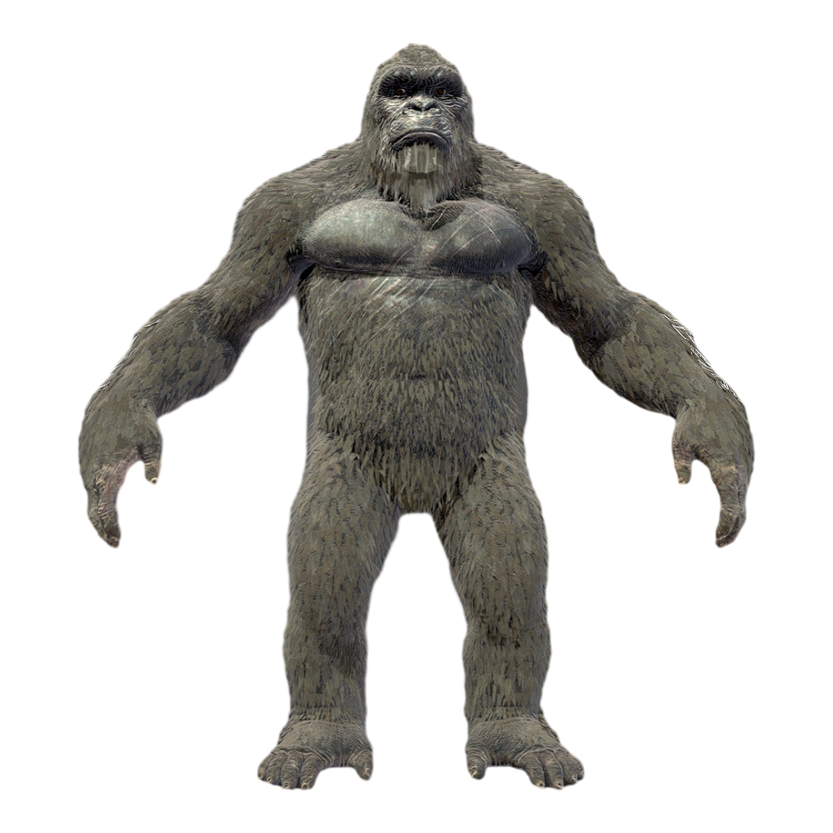 Film ‘KŌNG’ Starring Kong-3DHi